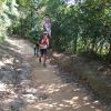 IMG_20161231_110036.jpg